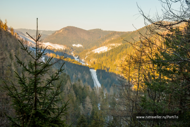 photo 1438884