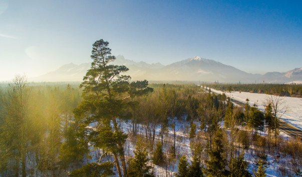 DJI_0031-2-2