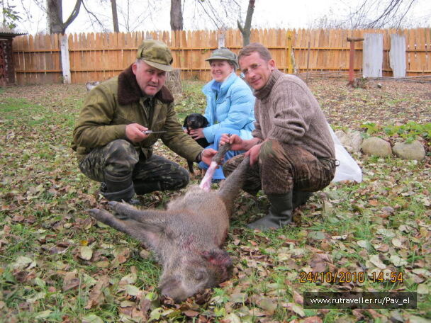 photo 99593