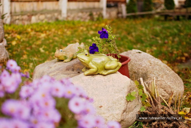 photo 99663