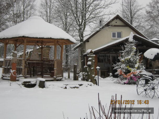photo 99991