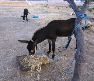 photo 749017