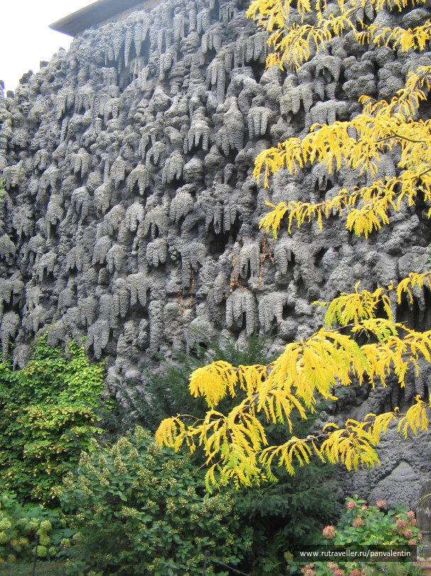 photo 235462
