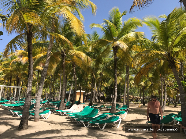 photo 1524054