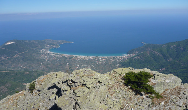 P1020466