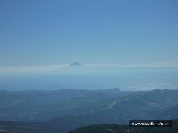 photo 218319