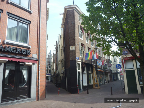 photo 224863