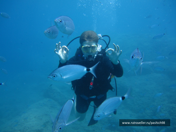 photo 413388