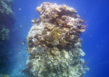 photo 440098