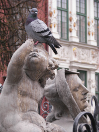 photo 45737