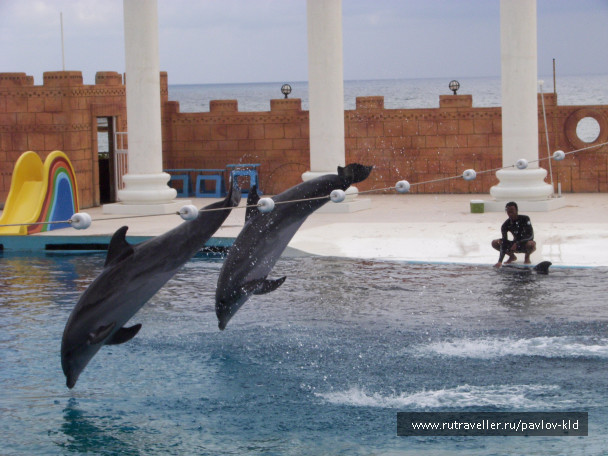 photo 1103649