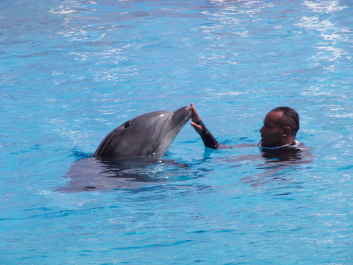 photo 1103650