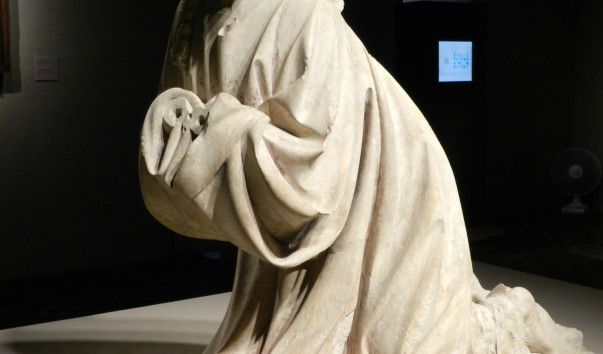 DSCN8102
