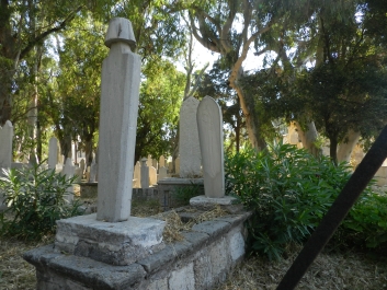photo 833434
