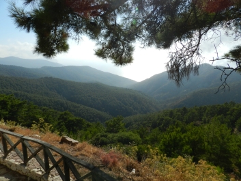 photo 833447