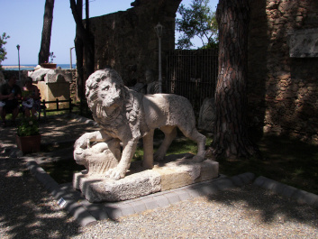 photo 211723