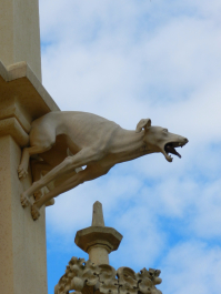 photo 1102902