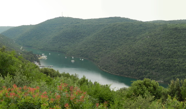 Panorama 56