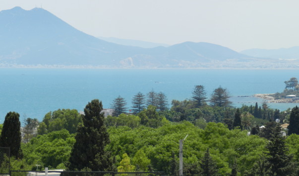 Panorama 110