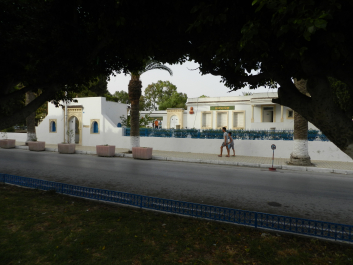 photo 1655553