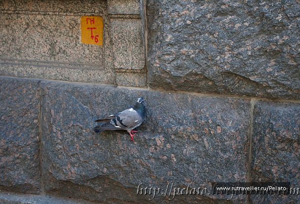photo 121059