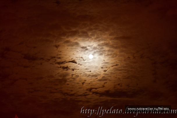 photo 121065