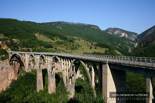 photo 127392