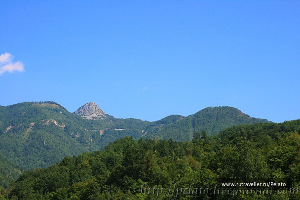photo 127397