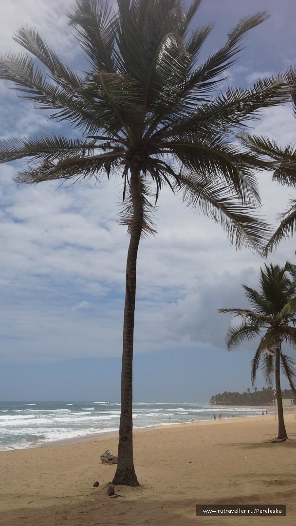 photo 878683