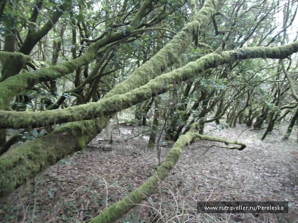 photo 906636