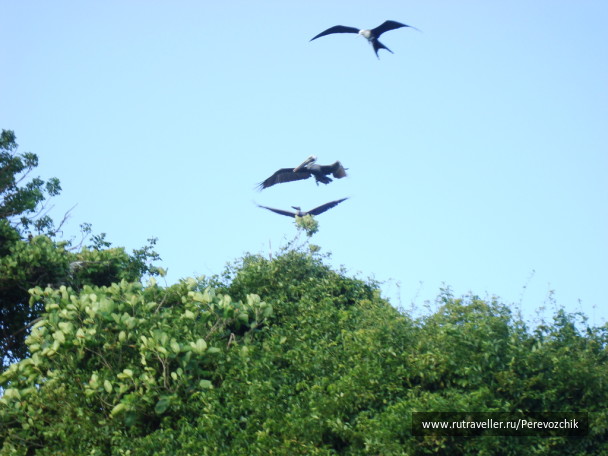 photo 66947