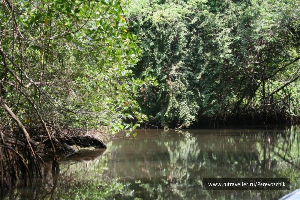 photo 66952