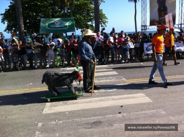 photo 67315