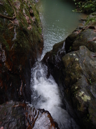 photo 1002838