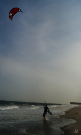 photo 1029008