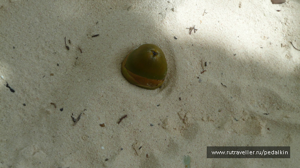 photo 249660