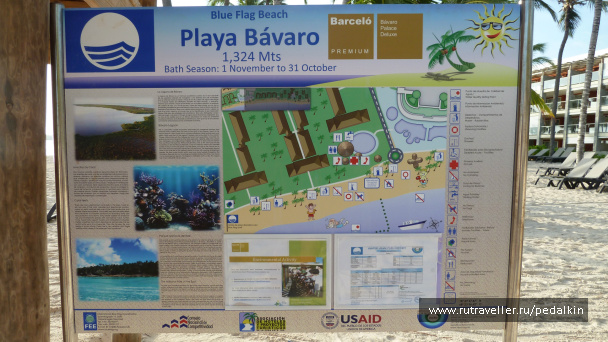 photo 249662