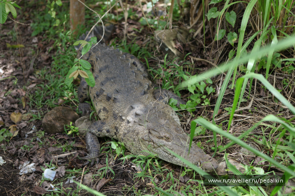 photo 249685