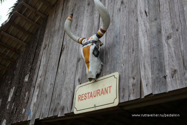 photo 249686