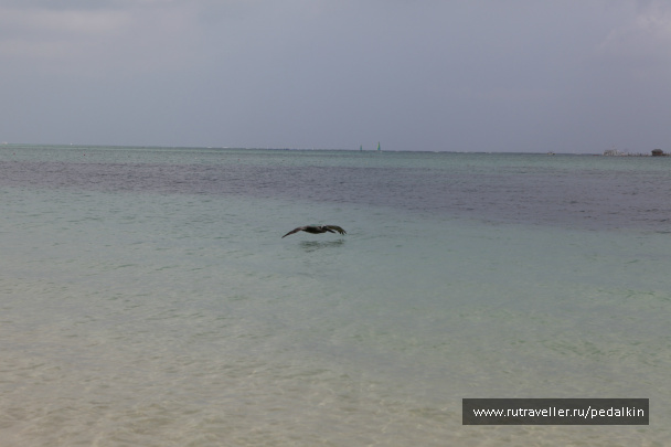 photo 249694
