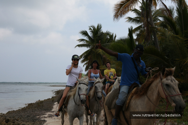 photo 249698