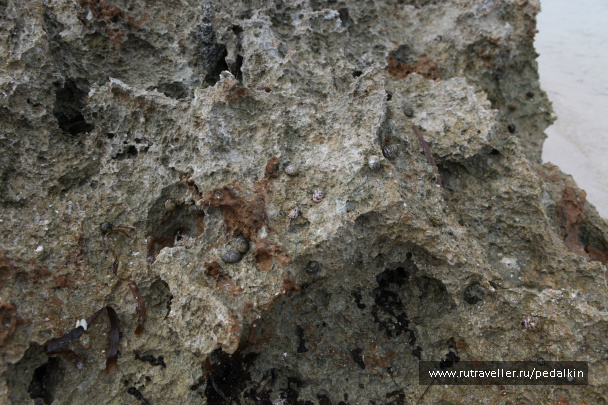 photo 249699