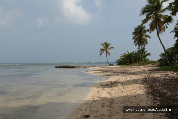photo 249701