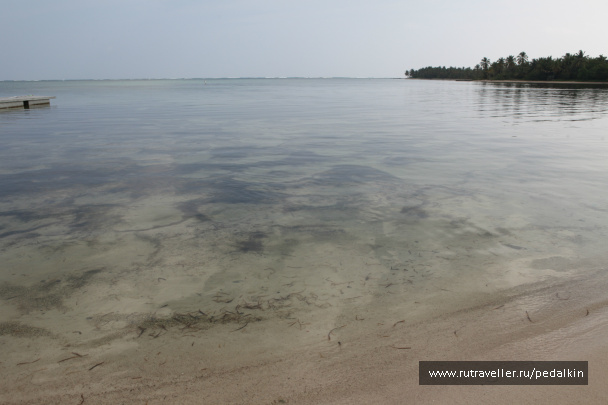 photo 249703