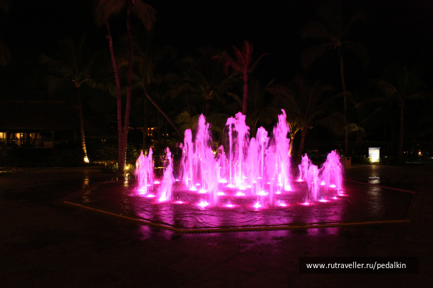 photo 249715