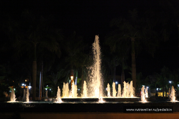 photo 249721