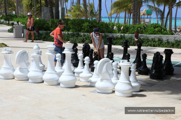 photo 249730