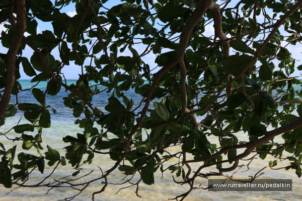 photo 249735