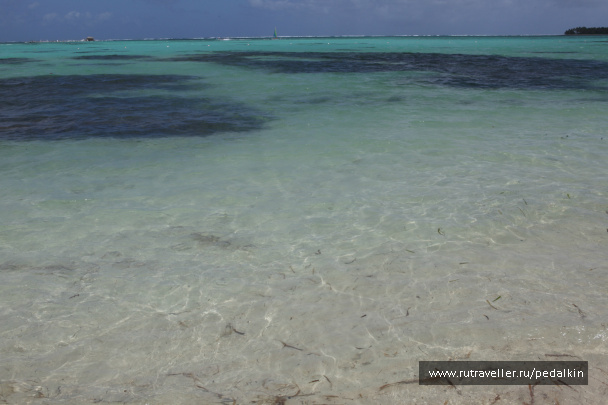 photo 249742