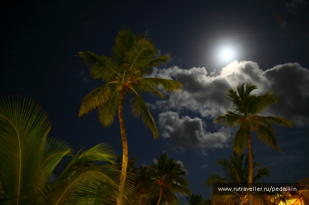 photo 401545